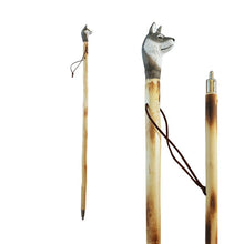 Walking Sticks