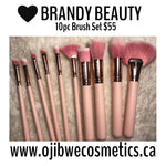 10pc brush set with fan brush pink set