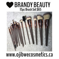 15pc brush set champagne grey